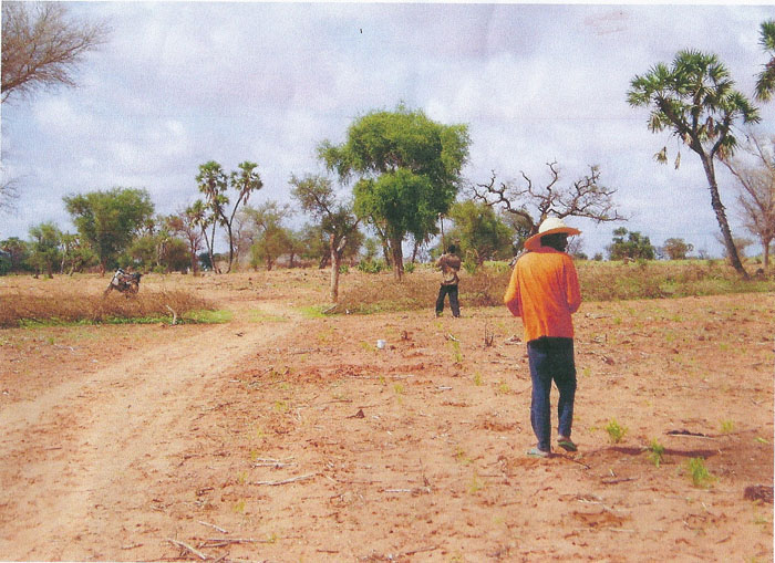 Millet growing area near village